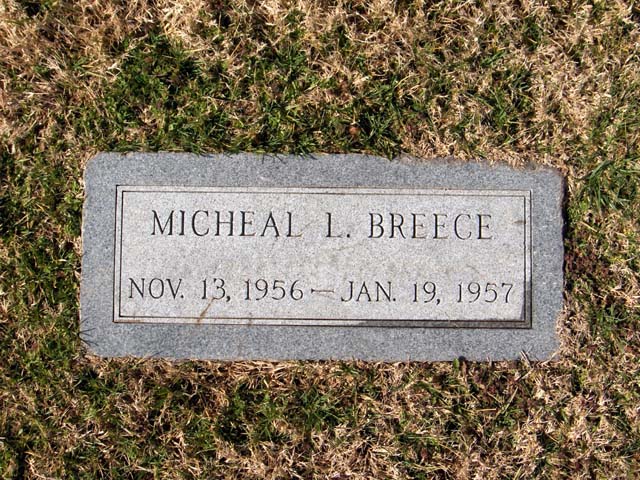 Michael L Breece