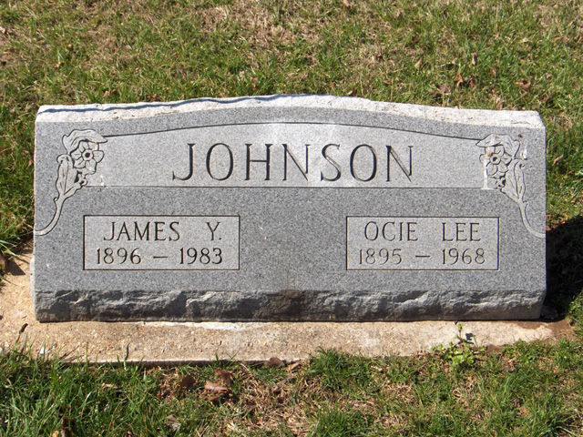 James Y Johnson